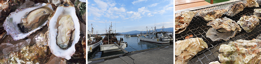 牡蠣や漁港の写真